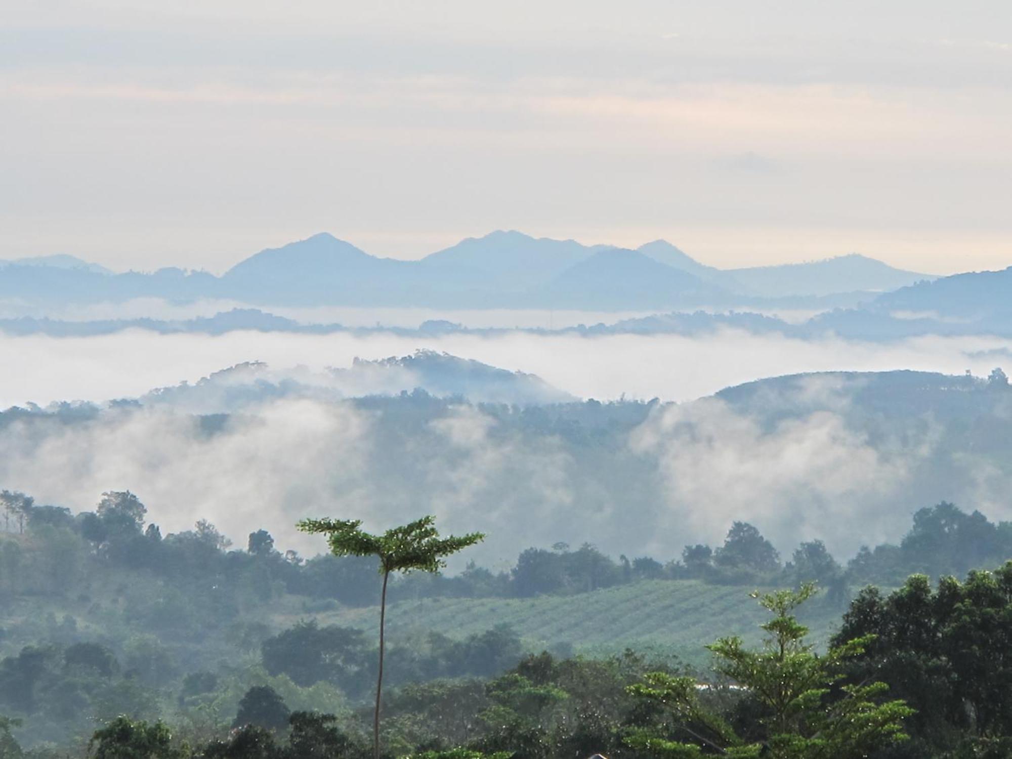 The Natural Garden Resort Ban Thap Sai Exterior foto